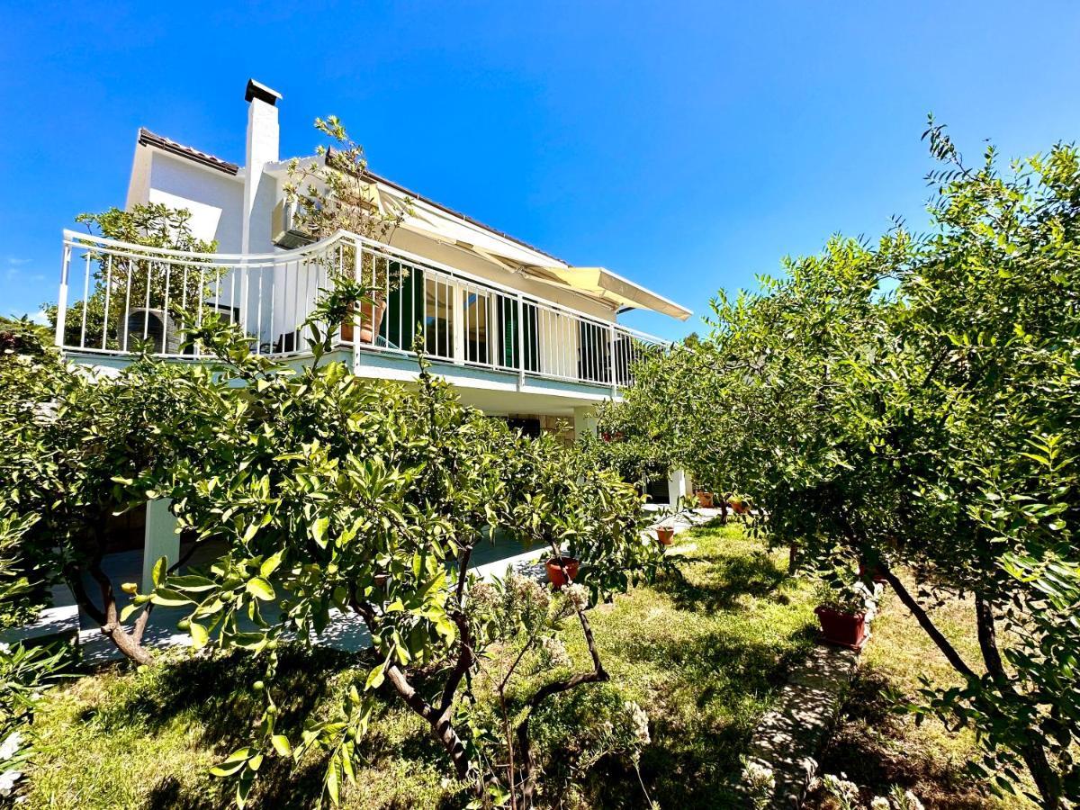 Perla & Palma Villa Zaboric Ngoại thất bức ảnh